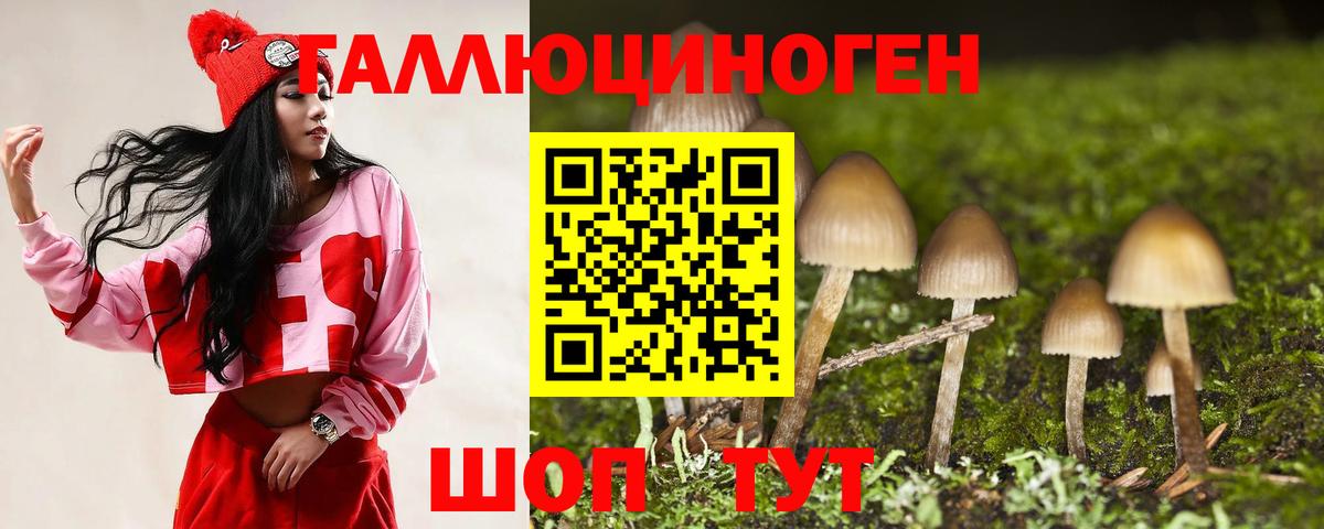 Галлюциногенные грибы Cubensis  Вход с VPN  купить   Карачаевск 